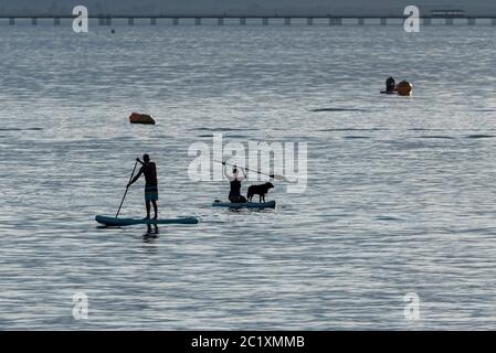 Paddle boarding sull'estuario del Tamigi a Southend on Sea, Essex, Regno Unito. Fiume Tamigi. Maschio, e femmina con un cane a bordo. Silhouette tardo pomeriggio Foto Stock