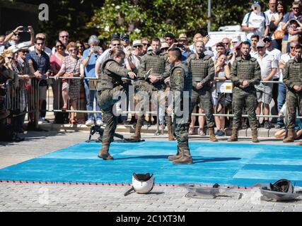 Vista della forza militare militare militare Speciale spagnola durante la mostra della Giornata delle forze armate spagnole a Siviglia, Spagna. Foto Stock