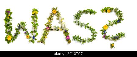 Fiore e fiore lettera costruire Parola era mezzi che cosa Foto Stock