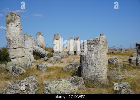 Pobiti Kamani o Stone Desert, da qualche parte vicino a Varna in Bulgaria. In un deserto di sabbia, hanno formato un sacco di pezzi naturali di pietra. Foto Stock
