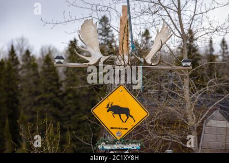 Un cartello stradale di una Moose Foto Stock