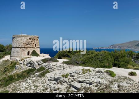 Torre D’Aubarca torre di guardia medievale sulla cima della scogliera costiera, Parco Naturale della Penisola Llevant, vicino Arta, costa orientale di Maiorca, maggio. Foto Stock