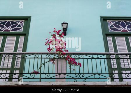 Splendido dettaglio di casa di stile spagnolo coloniale architettura con Bougainvillea pianta, Centro storico della città, Havana Vieja, l'Avana, Cuba Foto Stock