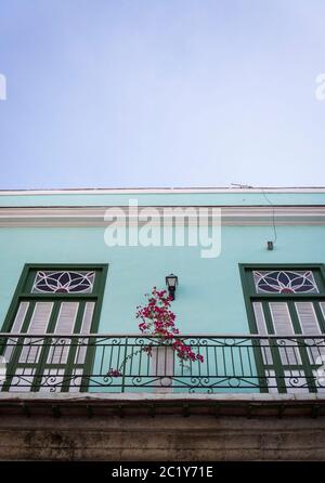 Splendido dettaglio di casa di stile spagnolo coloniale architettura con Bougainvillea pianta, Centro storico della città, Havana Vieja, l'Avana, Cuba Foto Stock