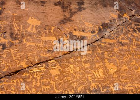 Graffiti Rock (Musayqirah petroglifi Qaryat al Asba), Provincia di Riyadh, Arabia Saudita Foto Stock