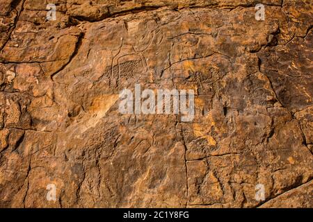 Graffiti Rock (Musayqirah petroglifi Qaryat al Asba), Provincia di Riyadh, Arabia Saudita Foto Stock