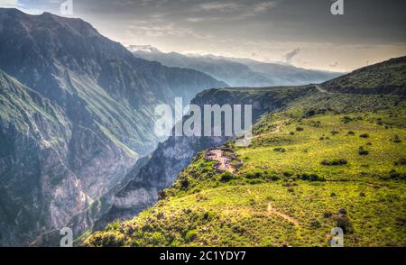 Condor sopra il canyon del Colca a Condor Cross o Cruz del Condor Viewpoint, Chivay, Perù Foto Stock