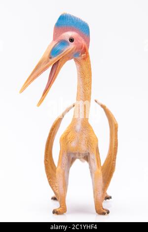 primo piano di una figurina colorata di plastica di pterodattile isolata su sfondo bianco Foto Stock
