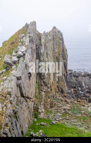 CULLEN CITTÀ MORAY COSTA SCOZIA DUE ALPINISTI INTREPID SU UNA PARETE ROCCIOSA UTILIZZATA PER LA PRATICA DA SCALATORI DI ROCCIA Foto Stock