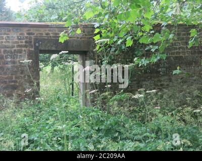 Una porta di legno è aperta in un vecchio muro di mattoni che dà uno sguardo da un giardino segreto selvaggio al parco oltre. Foto Stock