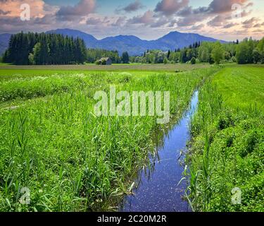 DE - BAVARIA: Loisach Moor vicino a Bichl (HDR-Image) Foto Stock