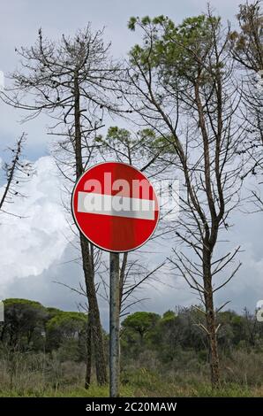 Nessun cartello d'ingresso in pineta, parco della Maremma, Toscana, Italia Foto Stock