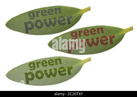 Tre foglie verdi e il testo energia verde in diversi colori e luminosità Foto Stock