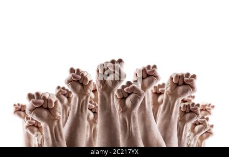 Grande gruppo di alzare le mani che mostra i pugni isolati su sfondo bianco Foto Stock