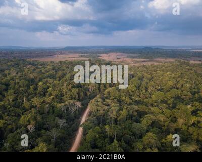 Bella vista aerea drone di alberi foresta di Jamanxim, strada sterrata e deforestazione nella foresta amazzonica, Brasile. Concetto di conservazione, agricoltura Foto Stock