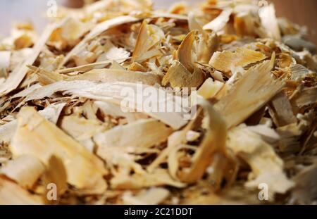 un sacco di trucioli di legno fresco in tutta la struttura Foto Stock