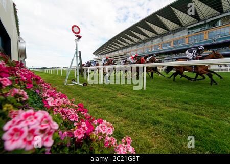 Una visione generale come corridori in Ascot Stakes passare il posto vincente con un circuito da andare durante il giorno uno di Ascot reale all'Ippodromo di Ascot. Foto Stock