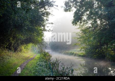 Paesaggio del canale Misty sul Canal Grande Union Foto Stock