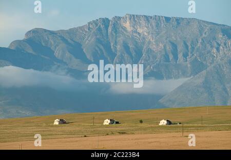 Aziende agricole ai piedi delle montagne Langeberg in Sud Africa Foto Stock