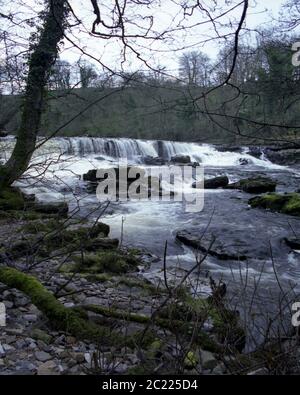 Cascate Yorkshire Dales Inverno Cascate di Aysgarth, Cascate invernali di Aysgarth, Cascate, Cascate di Aysgarth, Yorkshire Dalesilluminazione naturale, Paesaggio naturale, UNF Foto Stock