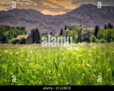 DE - BAVARIA: Loisach Moor vicino a Bichl (HDR-Image) Foto Stock