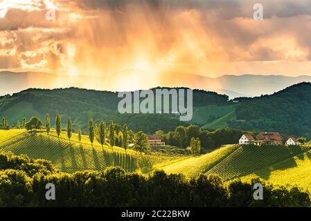 Splendido paesaggio di vigneti austriaci nel sud della Stiria. Famosa Toscana come luogo da visitare. Foto Stock