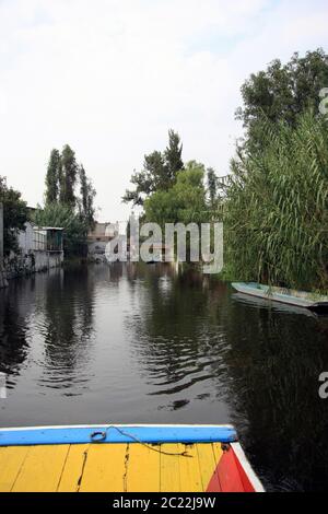 L'isola delle bambole (la Isla de las Muñecas) piccole isole nel lago Xochimilco, Città del Messico, Messico Foto Stock