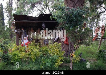 L'isola delle bambole (la Isla de las Muñecas) piccole isole nel lago Xochimilco, Città del Messico, Messico Foto Stock