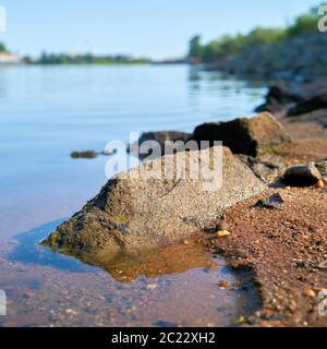 Banca del fiume Elba vicino a Magdeburgo sull'Elba Percorso Ciclabile in estate a bassa marea Foto Stock