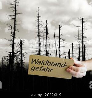 Cartello con la scritta "wildfire rischio". Sullo sfondo di una foresta morto nel Parco Nazionale di Harz. Foto Stock