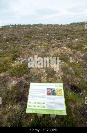 La Riserva Naturale Moss Rosso di Balerno nel Parco Regionale delle colline Pentland è un sito di interesse scientifico speciale (SSSI). Foto Stock