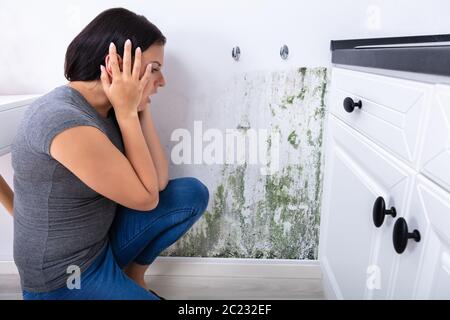 Vista laterale di una giovane donna che guarda a stampo sulla parete Foto Stock