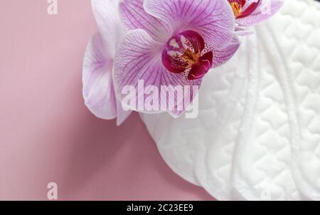 Concetto di salute delle donne. Guarnizioni donna su sfondo rosa. Foto Stock