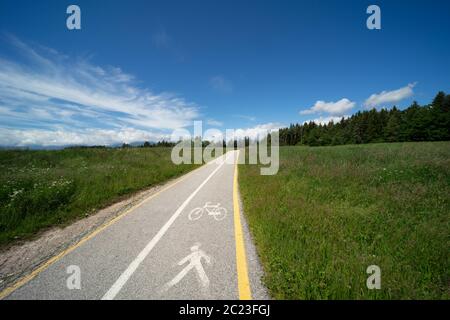 Percorso combinato in bicicletta e pedonale tra prati alpini e boschi in Val di non, Alto Adige. Italia; pista ciclabile in natura Foto Stock