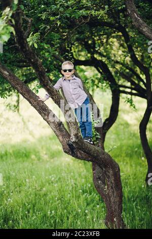 Little Boy in posa sulla corona di alberi nel parco in estate. Foto Stock