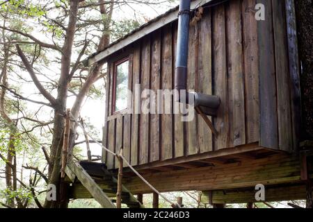 Treehouse in Norvegia in una foresta verde, dormire settembre 2018 bellezza Foto Stock