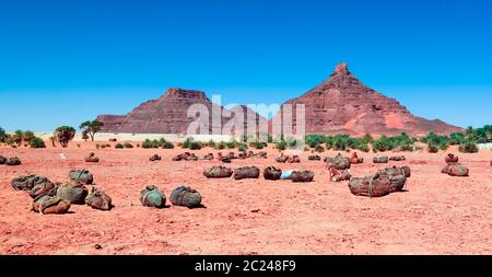 Estrazione di sale nel lago secco Saline Demi, Fada, Ennedi, Ciad Foto Stock