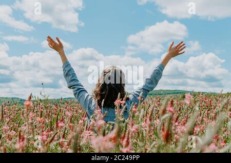 Vista posteriore di giovane donna in campo di fiori rosa con le braccia verso il cielo blu Foto Stock