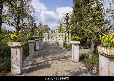 Primavera nel Kreislehrgarten Foto Stock