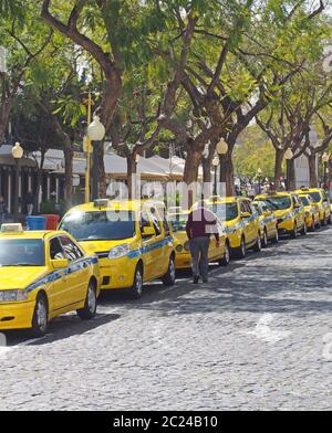una linea di taxi gialli parcheggiati nel centro della città di funchal madeira Foto Stock