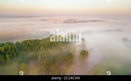 Estate natura paesaggio panorama dell'antenna. Nebbia di mattina su fiume, prato e bosco. Una natura che stupisce la luce del sole di scena a foggy sunrise. La Bielorussia, Europa Foto Stock