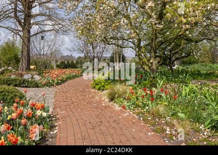 Primavera nel Kreislehrgarten Foto Stock