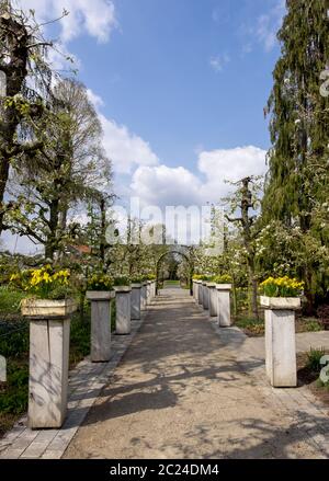 Primavera nel Kreislehrgarten Foto Stock