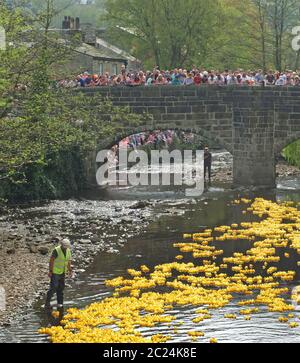 persone e volontari che guardano l'annuale corsa di anatre di beneficenza del lunedì di pasqua nel ponte di hebden Foto Stock