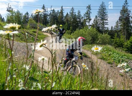 Bikepark Winterberg, sulla montagna Kappe, 11 piste per mountain bike, in tutti i livelli di difficoltà, Sauerland, NRW, Germania Foto Stock