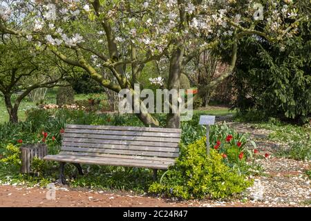 Primavera nel Kreislehrgarten Foto Stock