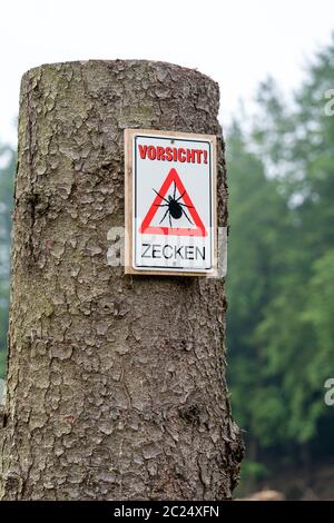 Cartello segnaletico per le zecche, nella foresta di Arnsberg, vicino Hirschberg, Sauerland, NRW, Germania Foto Stock