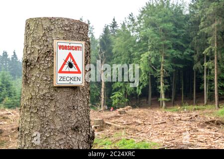 Cartello segnaletico per le zecche, nella foresta di Arnsberg, vicino Hirschberg, Sauerland, NRW, Germania Foto Stock