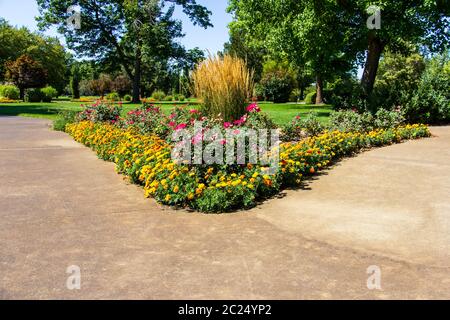 Colorato letto di fiori a una forchetta nel marciapiede di un parco cittadino Foto Stock