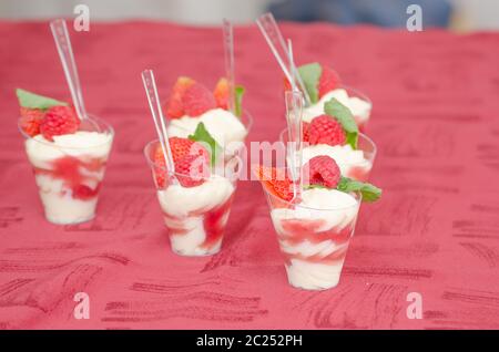 Inglese - Dessert Cremoso Vaniglia crema di mascarpone con strisce arcobaleno di frutta di bosco con fragole e lamponi con menta - nel crogiolo Foto Stock